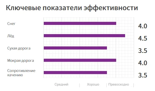 ШИПУЕМЫЕ NORDIC 、ЛЕГКОВЫЕ АВТОМОБИЛИ11 (1)